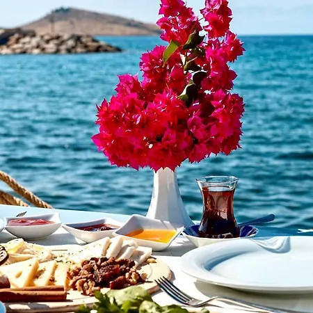 Hotell Ali's Beach *