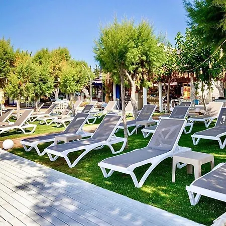Ali's Beach